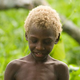 Image for article titled The Mystery of Solomon Island Blonds